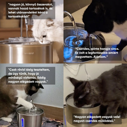 Ivókút - Segít, hogy cicád többet igyon, minden egyes nap
